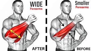 BEST Exercises for Bigger Forearm Workout
