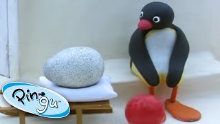 Pingu and the Mix Up! | Pingu Official | Cartoons for Kids