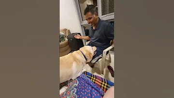 Simba Viralvideo Youtubeshorts Simbatherockstar Funny Simbathegreat Simplelifefamilyvlogs 
