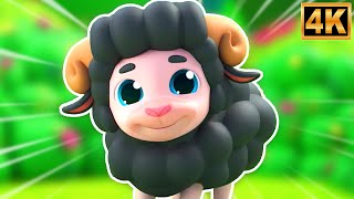 baa baa black sheep educational rhyme songs children