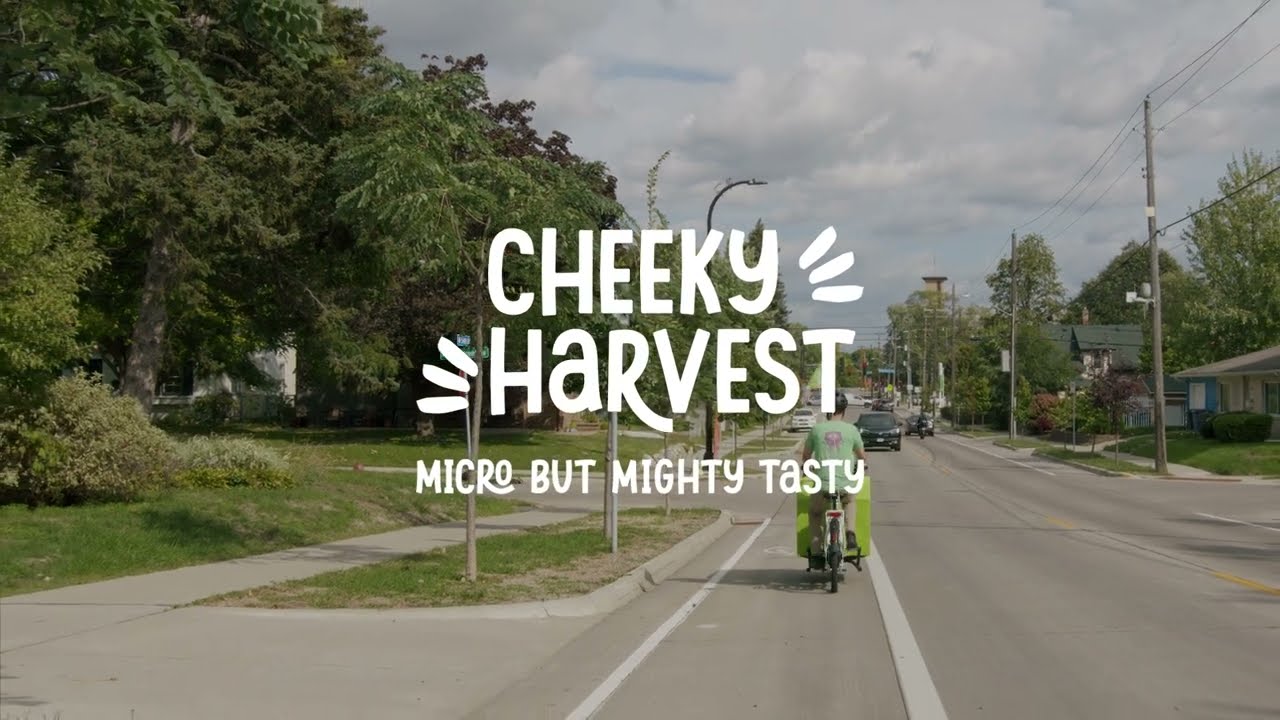 Cheeky Harvest - from seed to delivery