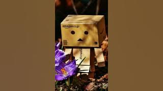 Lirik Lagu Pujaan Hati (Cover By Felix Irwan)