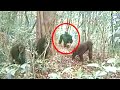 3 Most Recent Mysterious Jungle Discoveries That Cannot Be Explained