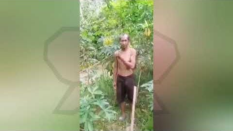 Seorang Bapak Ketahuan Mencuri Singkong di Kebun, Namun Dimaafkan Pemilik | #sekilasinfo