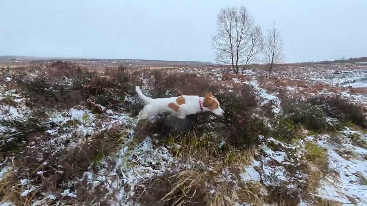 Winter Walk on Beeley Moor, Derbyshire 