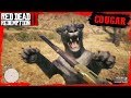 RDR2 Hunting Legendary COUGAR / First person Cougar Attack Gameplay 🤠🤠🤠