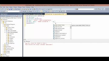 MS SQL 2013 - How to fix error Must declare the scalar variable