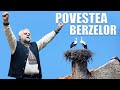 Povestea berzelor - Vladimir Pustan (motivațional)