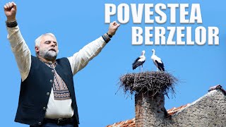 Povestea berzelor - Vladimir Pustan (motivațional)