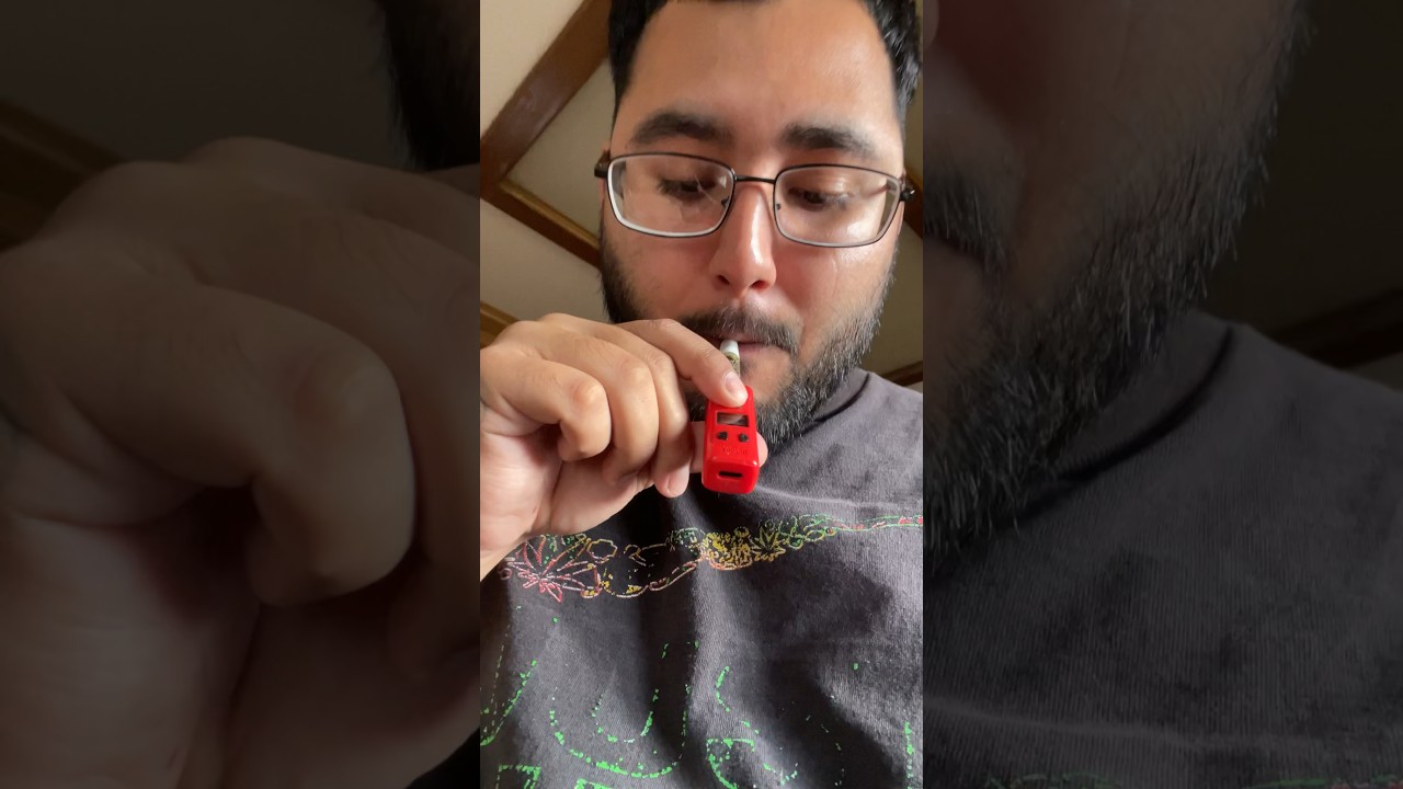 Raw garden 15 seconds blinker 