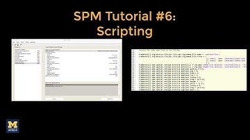 SPM Tutorial #6: Scripting