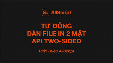 Tự Động Dàn File In 2 Mặt | API TWO-SIDED | Giới thiệu AllScript