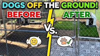No More Mud! Ultimate DIY Dog Kennel Upgrade🐶