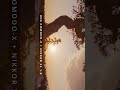 Golden hour with RED Komodo-X and Nikon 24 1.4 #red #shotonred #filmmaker #sunset #goldenhour