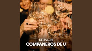 Blue Zone - Don Omar