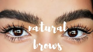 HOW TO: NATURAL BROWS | My Eyebrow Routine