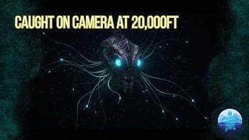 7 Deep-Sea Creatures So Strange Scientists Can’t Explain Them