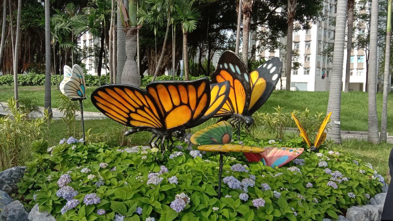 butterfly-beach-park-tuen-mun-hk-let-s-have-a-tour-youtube