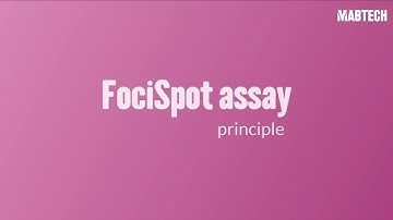 FociSpot assay principle