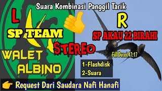 SP TEAM WALET ALBINO VS SP AKAU 22 BIRAHI || SUARA PANGGIL WALET KOMBINASI STEREO L-R