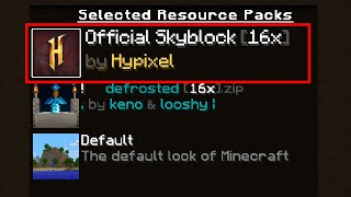 The Admins Might Be Designing an OFFICIAL Resource Pack... (Hypixel Skyblock)