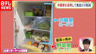 【野菜室に工夫】食品ロス削減　冷蔵庫活用し野菜を長持ち！