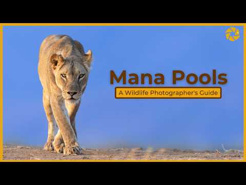 Video: Mana Pools National Park: The Complete Guide