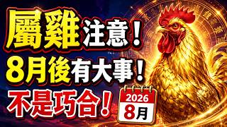 如果你或身邊有人屬雞，2026年8月後「必有大事發生」…不是巧合，是業力引爆！
