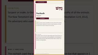#biblestudy #bible #wisdom #bibleverseoftheday #devotional #dailyscripture