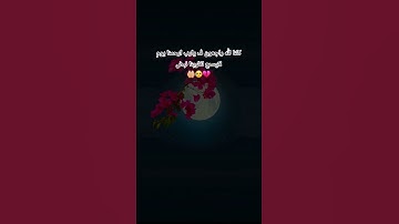 🚶‍♂️🥀💔 #قرآن #اكسبلور #المصحف #اسلام_صبحي #لايك #تلاوات #تيك_توك #قران_كريم