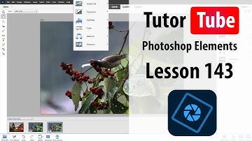 Photoshop Elements Tutorial - Lesson 143 - Gradient