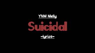 YNW Melly- suicidal (lyric video)