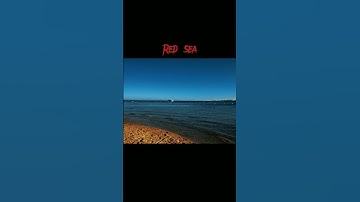 scariest things found underwater: pt 2 | @cryptic.tok
