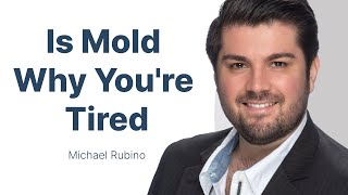 How Do you Know if you have  Mold in Your Home with Michael Rubino