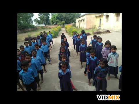 वीडियो: ग्रीन स्कूल