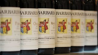 Barbaresco & Produttori del Barbaresco