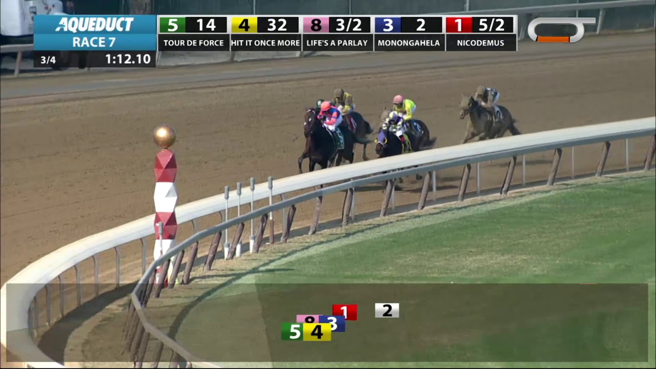 horse racing news Life's a Parlay - 2019 - The Excelsior Stakes