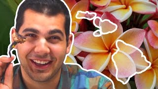 Americans Try Hawaii Food For The First Time