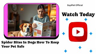 "🕷️ Dog Owners MUST Know: How to Protect Your Pup from Fatal Spider Bites! 🐶🛡️" Keeping Your Dog Safe From Spider Bites