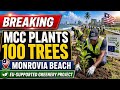 BREAKING: MCC Hugely Plants 100 Trees Along Monrovia Beach Under EU-Supported Urban Greenery Project