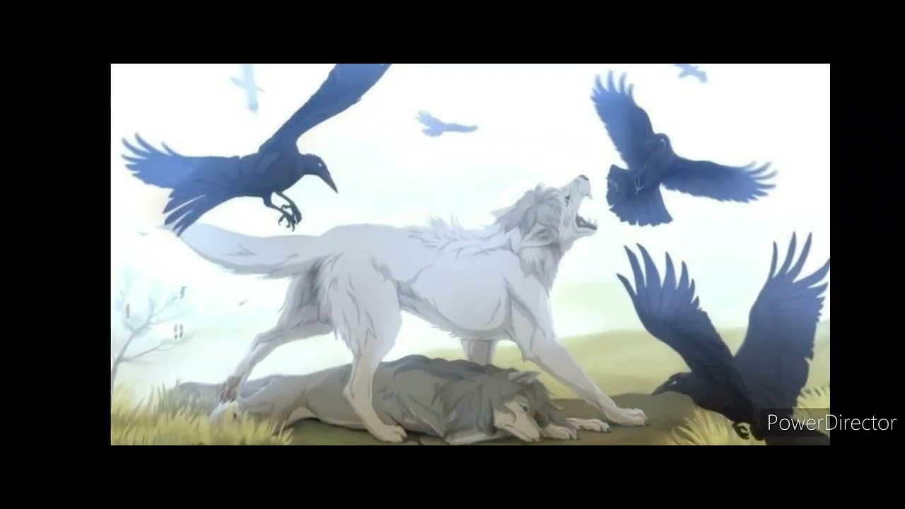 Wolf angels. Симуран крылатый волк. Симуран волчица. Симураны Легенда. Стая Симуран.