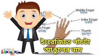Name of five fingers in Bengali |হাতের পাঁচ আঙুলের নাম