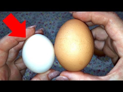Видео: Как да смиламе черупка от яйца
