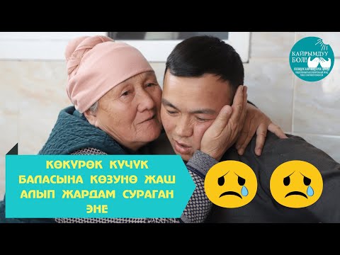 Video: Жардам суроону билбөөнүн 6 кесепети