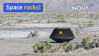 NASA Lands Long-Awaited Asteroid Sample on Earth by NOVA PBS Official 32,959 views 7 months ago 53 seconds