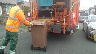 brown bins collection 12