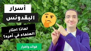 ? البقدونس الفوائد والأضرار الغير متوقعة التي يجب أن تعرفها