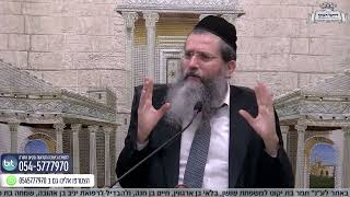 מהי השתדלות? איך לדעת כמה להשקיע ומתי להפסיק