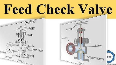 Feed Check Valve