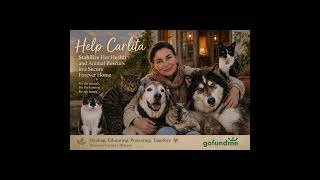 Our Saga of Looking for a Forever Home